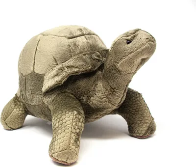 Produktbild von Cornelissen - Kuscheltier - Mega Landschildkröte - 41 cm