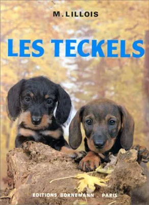 Image de Les teckels