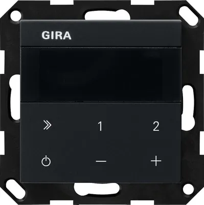 Image de GIRA 2320005 Système UP-Radio IP 55 Schwa (2320005)