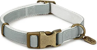 Produktbild von Designed by Lotte Nylonhalsband Virante mint, Verstellmöglichkeit: 35 - 50 cm