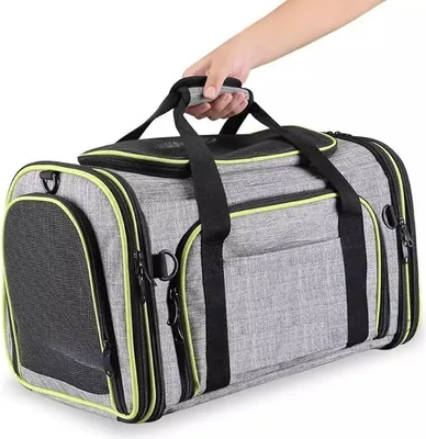 A hand holding a pet carrier bag.