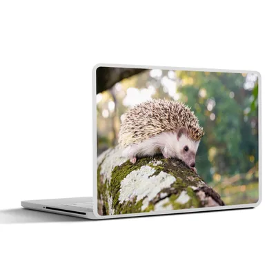Produktbild von MuchoWow® Laptop Aufkleber Sticker Cover Kriechender Igel auf einem Ast 40x30 cm - Laptop Dekoration - Selbstklebend