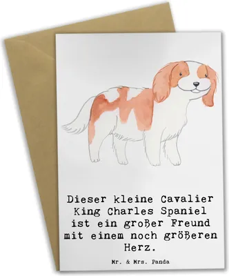 Produktbild von Mr. & Mrs. Panda Grußkarte Cavalier King Charles Spaniel - Weiß - Geschenk, Hundeliebhaber, osterkarten, Hunde, liebevoller Charakter, Beileidskarte, charmant, Hunderasse