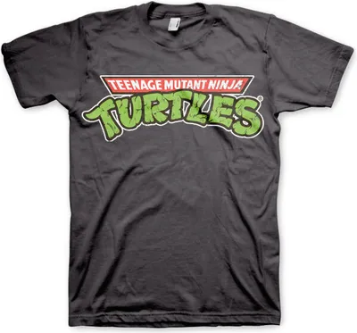Produktbild von Teenage Mutant Ninja Turtles T-Shirt Herren TMNT Classic Logo dunkelgrau XXL
