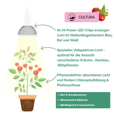 Produktbild von Venso EcoSolutions Cultura, 18 W, E27, 30000 h