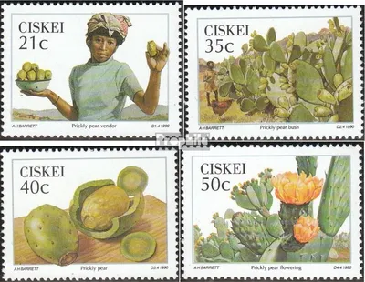 Produktbild von Briefmarken Südafrika - Ciskei 1990 Mi 179-182 (kompl.Ausg.) gestempelt Eßbare Wildfrüchte