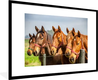 Produktbild von MuchoWow® MuchoWow® Gerahmtes Poster Pferde - Zaun - Sommer 90x60 cm - Poster mit zchwarzem Bilderrahmen - Wanddekoration - Fotos