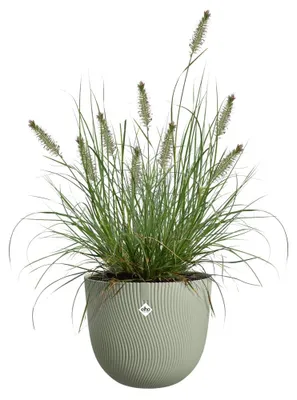 Produktbild von elho 3202102537900, Grün, Kunststoff, 7,6 l, Rund, 100%, 25 cm