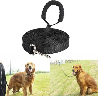 Produktbild von Hundeleine 5 m, 10 m, 15 m, 20 m, 30 m, Griff, fuer Spaziergang