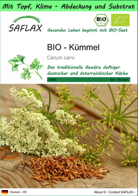 Produktbild von SAFLAX Garden to go - BIO - Kümmel - Carum carvi - 800 Samen - Mit Topf, Klima - Deckel und Anzuchtsubstrat