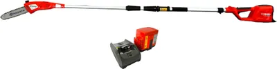 A red and silver pole saw with a battery and charger on a white background.