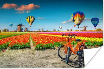 Produktbild von MuchoWow® Poster Heißluftballon - Orange - Tulpen 120x80 cm - Bilder