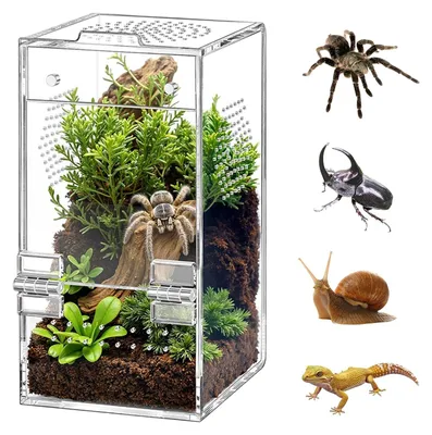 Immagine prodotto di Terrario in acrilico per rettili con ventilazione a 360°