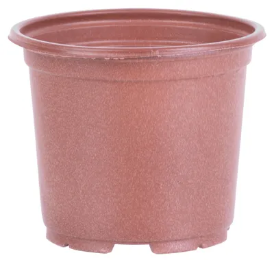 Imagen del producto de Maceta para semilleros Strend Pro, redonda, 13x10,5 cm - Pack de 10 uds.