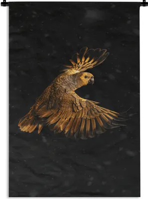 Produktbild von MuchoWow® Wandteppich Wandbehang Papagei - Vogel - Orange 90x135 cm Tapisserie Dekoration Wandtuch - Baumwolle - Wandskulptur