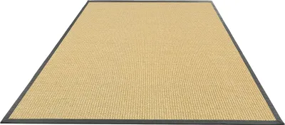 A rectangular rug with a woven texture and a dark border, presented on a white background.