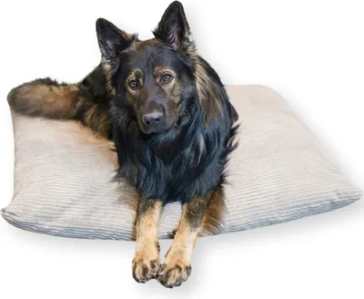 Obrázek produktu pro 4L Textil Polštár pro psa MOLLY (100x80 cm, béžový)