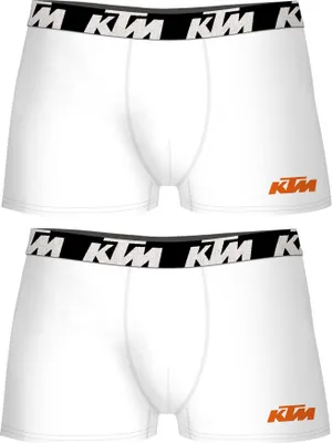 Image de KTM Boxer attenant