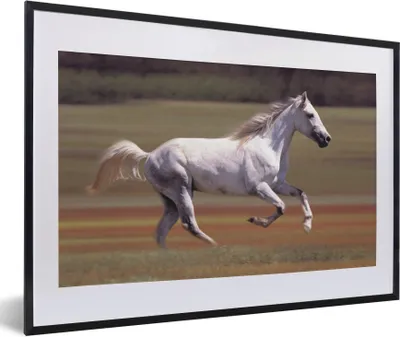 Produktbild von MuchoWow® Gerahmtes Poster Pferd - Licht - Gras 60x40 cm - Poster mit Schwarzem Bilderrahmen Wandposter Rahmen Foto Bilder - Schlafzimmer - Plakat in Rahmen - Drucken