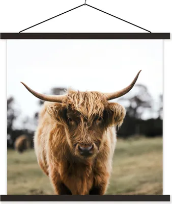 Produktbild von MuchoWow® Textilposter Schottisches Hochlandrind - Kuh - Gras - Tiere - Natur 120x120 cm mit schwarzem Rahmen - Aufhängungsset