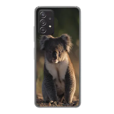Produktbild von MuchoWow® Handyhülle Schutzhülle Hülle für Samsung galaxy a73 Koala - Sonne - Tier - Kinder - Jungen - Mädchen Silikon Softcase Handy Hülle - Handyhülle