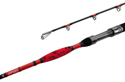 Immagine prodotto di Delphin DANGER CatFISH 285cm/350g/2 parti