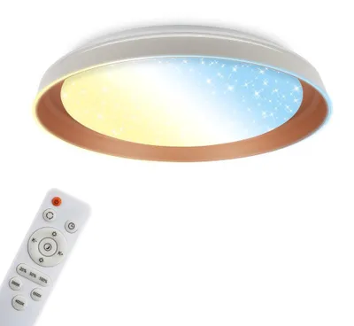 Obrázek produktu pro LED stropní svítidlo Stropní svítidlo Obývací pokoj Hvězdná obloha Stmívatelné Dálkové ovládání