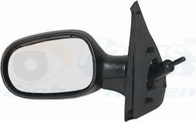 Produktbild von VAN WEZEL 4341804 Außenspiegel Seitenspiegel Rechts für RENAULT CLIO II (BB0/1/2, CB0/1/2) Konvex