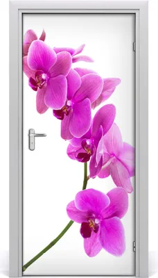 Produktbild von Tulup Türaufkleber 95x205 cm Dekorative Aufkleber Selbstklebend Wasserdichte Tapete Abnehmbar Schlafzimmer Wohnzimmer Wohnkultur - rosa Orchideen