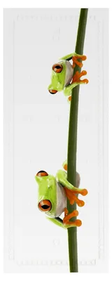 Produktbild von Wanneneinlage Charlie, 36 x 92 cm, maigrün