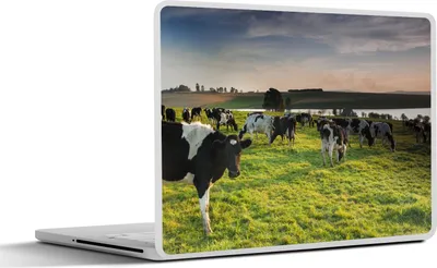 Produktbild von MuchoWow® Laptop Aufkleber Sticker Cover Kuh - Gras - Sonnenuntergang 30x22 cm - Laptop-Sticker