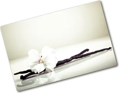 Produktbild von Tulup Glas Herdabdeckplatte - 80x52 cm - Glaskeramikkochfeld-Abdeckung Spritzschutz Glasabdeckplatte - Einteilig - Blumen & Pflanzen - Vanilleschote - Weiß
