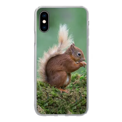 Produktbild von MuchoWow® Handyhülle Schutzhülle Hülle für iPhone X Waldtier - Eichhörnchen - Moos Silikon Softcase Handy Hülle - Handyhülle