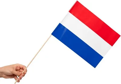 Produktbild von 10 Papier Fahnen Niederlande Holland 20 x 30 cm Handfahnen