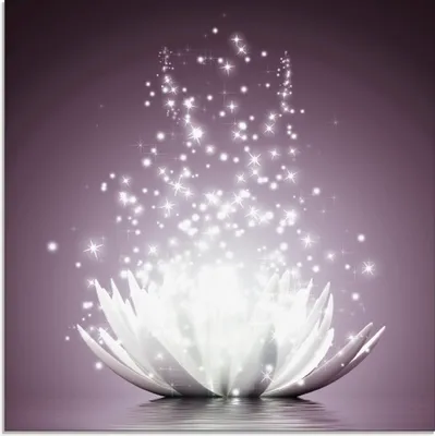 Produktbild von Vadim Georgiev: Magie der Lotus-Blume violett - Glasbild, Größe:20x20 cm / Glasbild