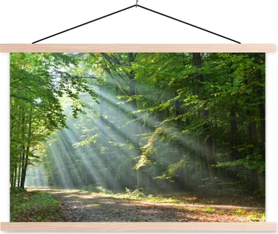 Produktbild von MuchoWow® Textilposter Frühling - Wald - Baum 60x40 cm mit holzfarbenen Rahmen - Bilder