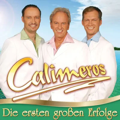 Produktbild von Die ersten groáen Erfolge
