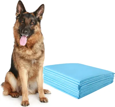 Image de COSTWAY Tapis d'entraînement pour chiens, Design 5 couches anti-fuites, Tapis pour chiots Puppy-Pads, Tapis hygiénique jetable PIPI-Pads, Tapis d'entraînement pour chiots (150 pièces 75x75cm)