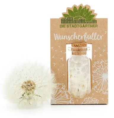 Produktbild von Pusteblumen-Schirmchen im Glas, handgemacht, Glücksglas, Geschenkidee, 1 Stück