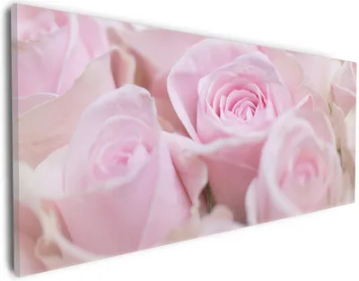 Produktbild von Wallario Premium Leinwandbild Rosafarbene Rosenblüten im Strauß in Größe 30 x 75 cm