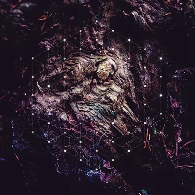 Produktbild von Psychonaut: Unfold The God Man