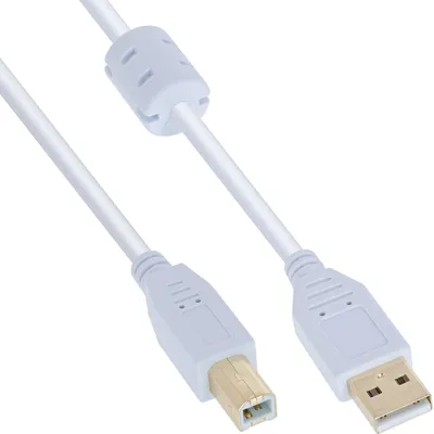 Productafbeelding van InLine 34550W, 10 meter, USB A, USB B, USB 2.0, mannelijk/mannelijk, wit