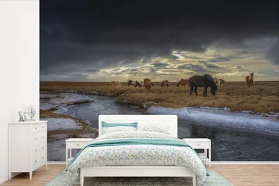 Produktbild von MuchoWow® Fototapete für Wohnzimmer oder Schlafzimmer Wandtapete Vinyl Motivtapete Pferde - Eis - Gras - 420x280 cm - Zimmer für Kinder