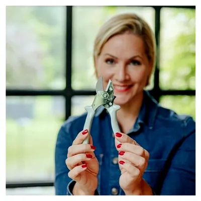 Produktbild von Beerenschere - ideal zum Schneiden von Sträuchern, Blumen oder kleinen Ästen.