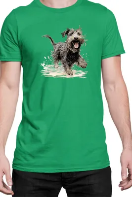 Obrázek produktu pro Pánské Tričko Funny Dogs Breeds Terrier Dog Breed, Man M / Zelená