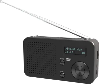 Produktbild von Telestar TOP 100, Tragbar, Analog & Digital, DAB+, FM, 3 W, LCD, Schwarz
