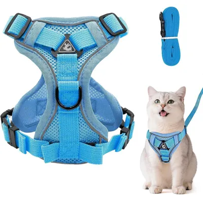 Produktbild von Katzengeschirr mit Leine Set Ausbruchsicher Verstellbar Mesh Hellblau L