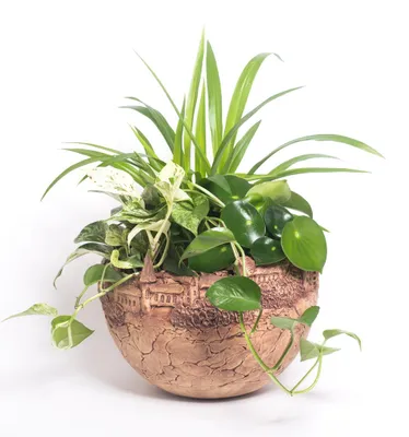 Immagine prodotto di Fioriera "vaso Oskar" (28,00 cm) di forma sferica