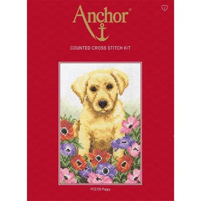 Produktbild von Anchor Kreuzstich-Set „Kleiner Hund“, Zählvorlage