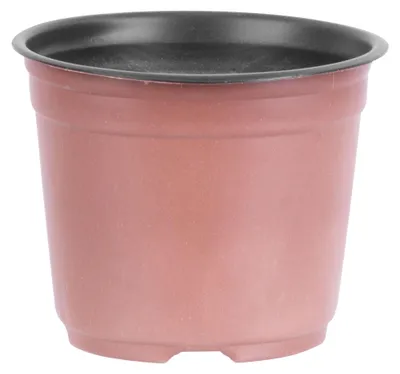 Immagine prodotto di Vaso Strend Pro, per piantine, rotondo, 12x10 cm - set da 10 pezzi